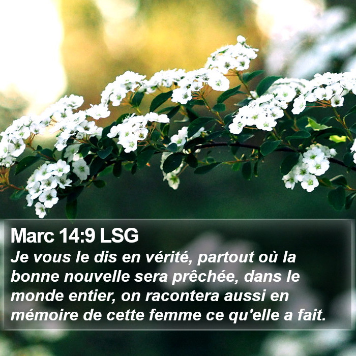 Marc 14:9 LSG Bible Study