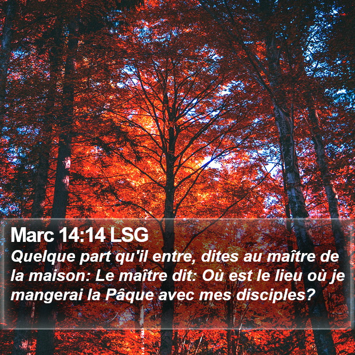 Marc 14:14 LSG Bible Study