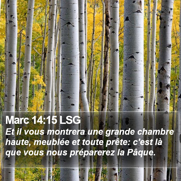 Marc 14:15 LSG Bible Study