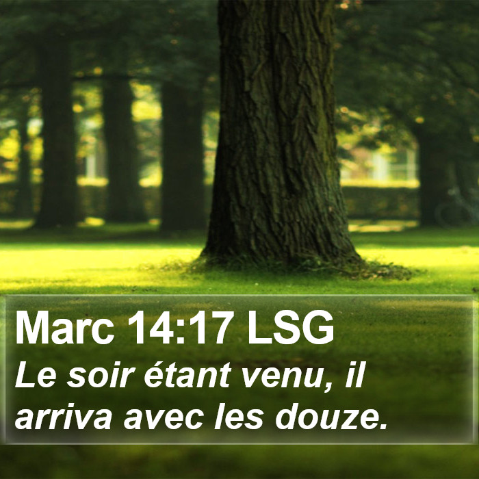 Marc 14:17 LSG Bible Study