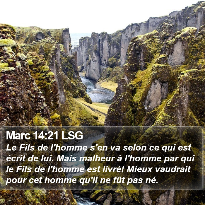 Marc 14:21 LSG Bible Study