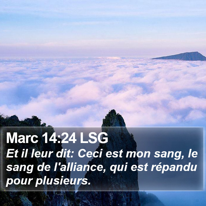 Marc 14:24 LSG Bible Study