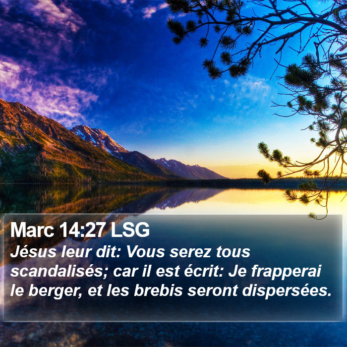 Marc 14:27 LSG Bible Study