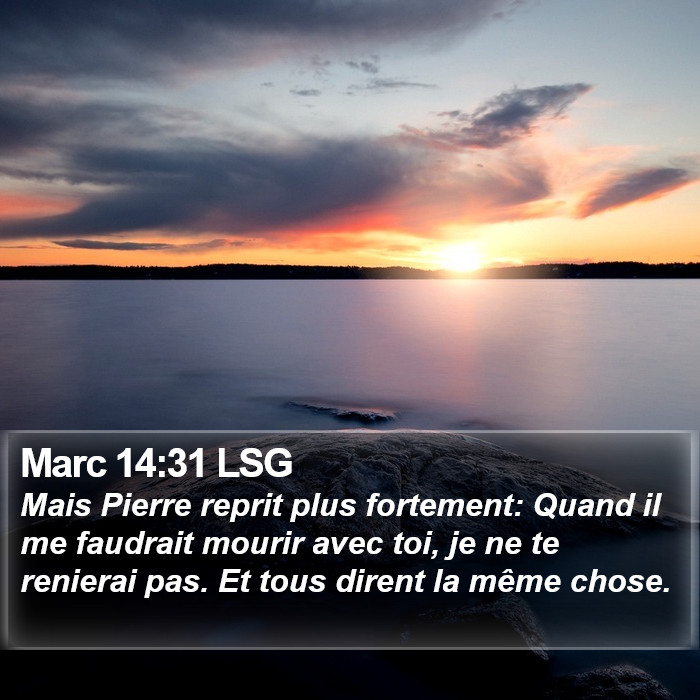 Marc 14:31 LSG Bible Study