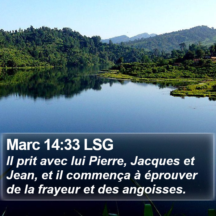 Marc 14:33 LSG Bible Study