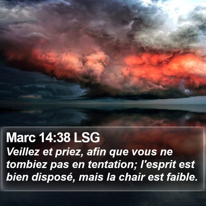 Marc 14:38 LSG Bible Study