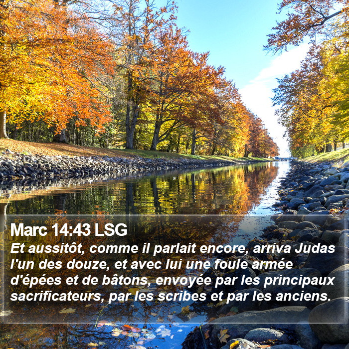 Marc 14:43 LSG Bible Study