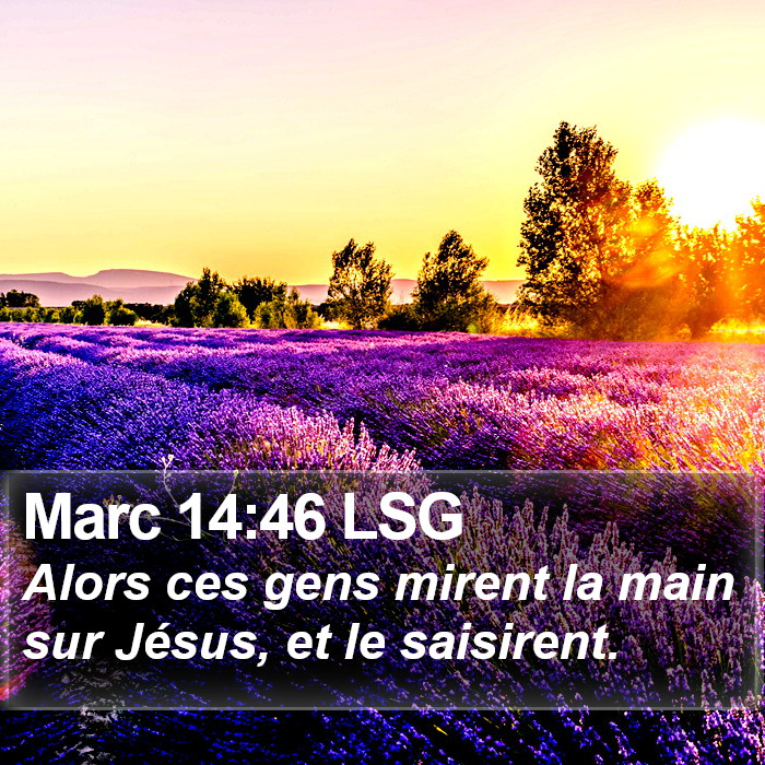 Marc 14:46 LSG Bible Study