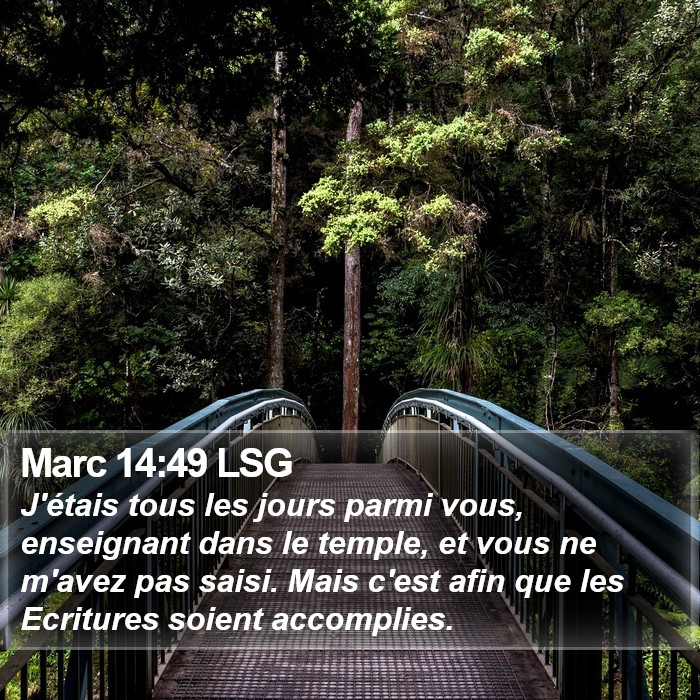 Marc 14:49 LSG Bible Study