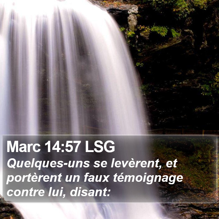 Marc 14:57 LSG Bible Study