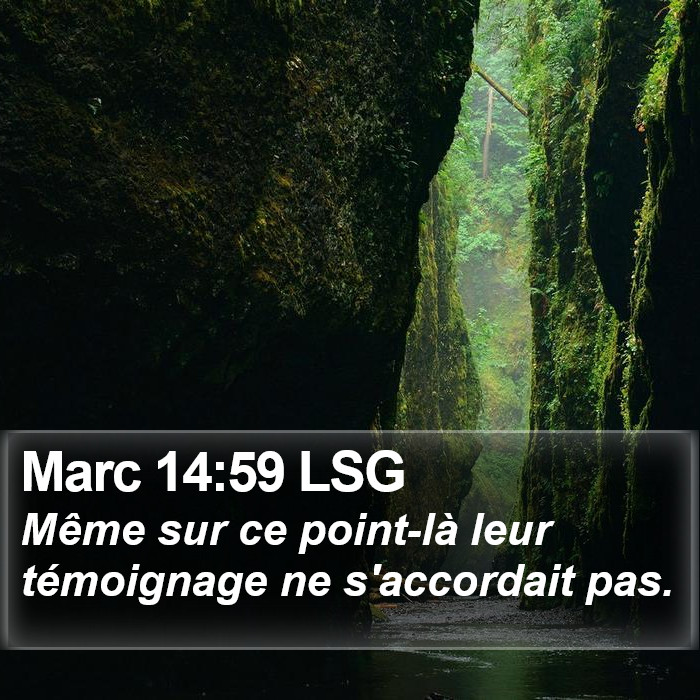 Marc 14:59 LSG Bible Study