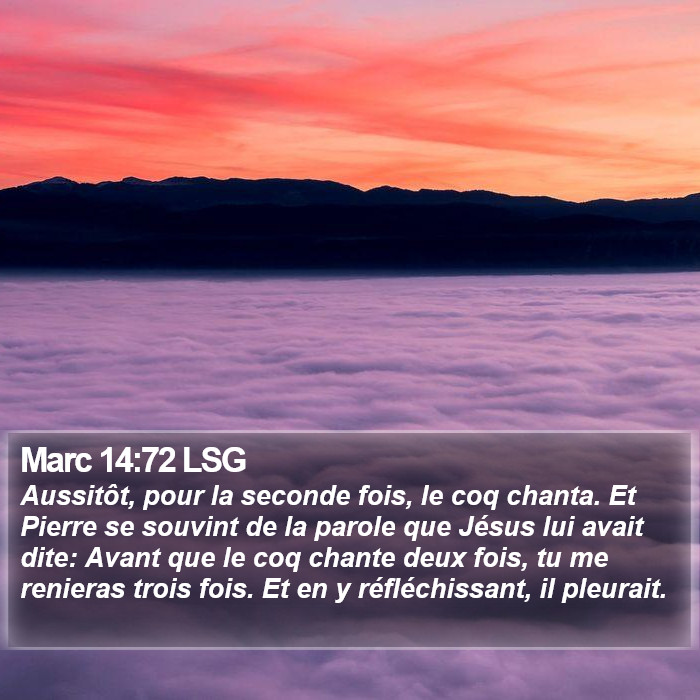 Marc 14:72 LSG Bible Study