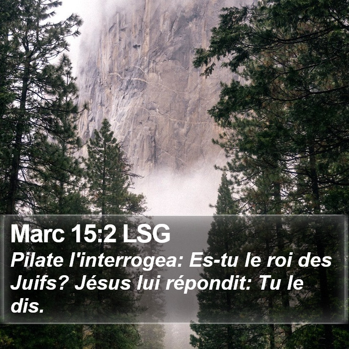 Marc 15:2 LSG Bible Study