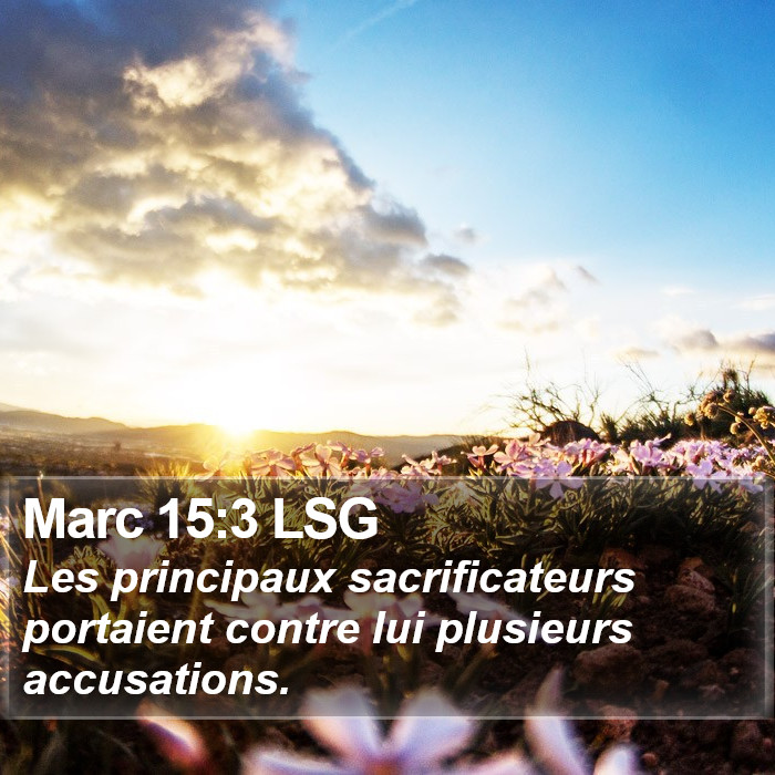 Marc 15:3 LSG Bible Study