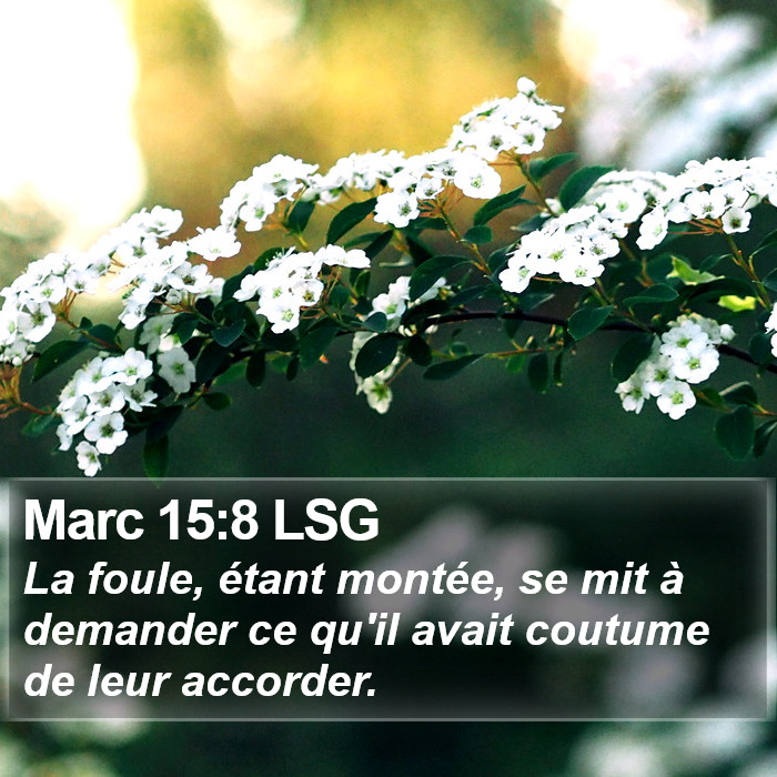 Marc 15:8 LSG Bible Study