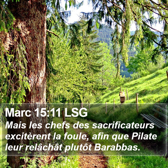 Marc 15:11 LSG Bible Study