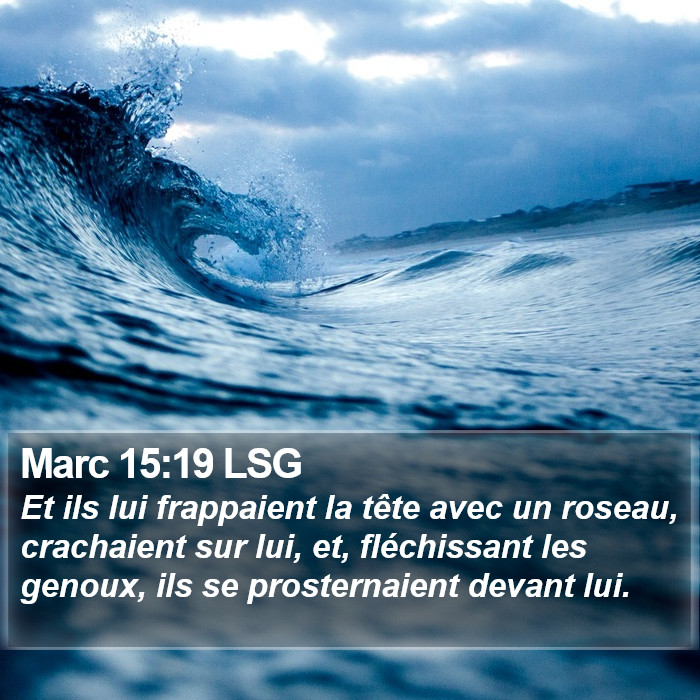 Marc 15:19 LSG Bible Study