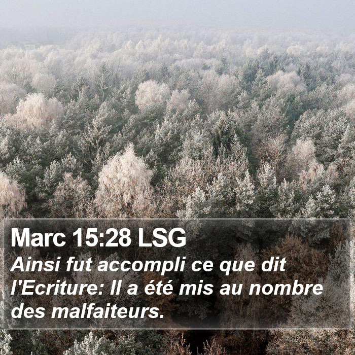 Marc 15:28 LSG Bible Study