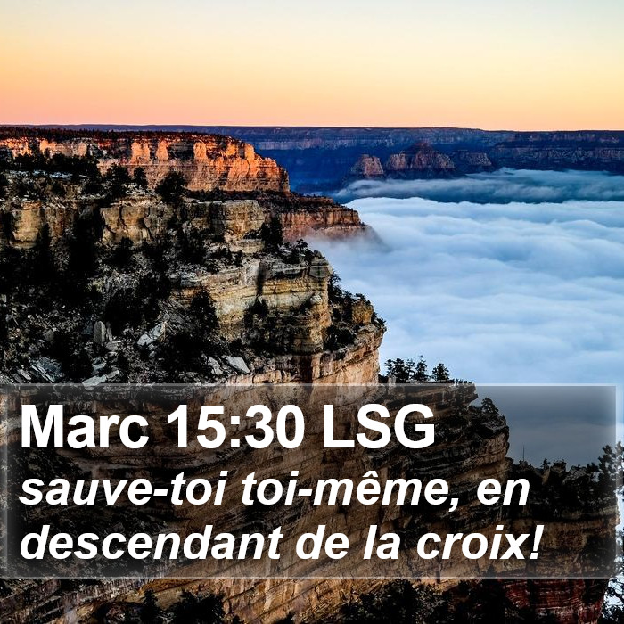 Marc 15:30 LSG Bible Study