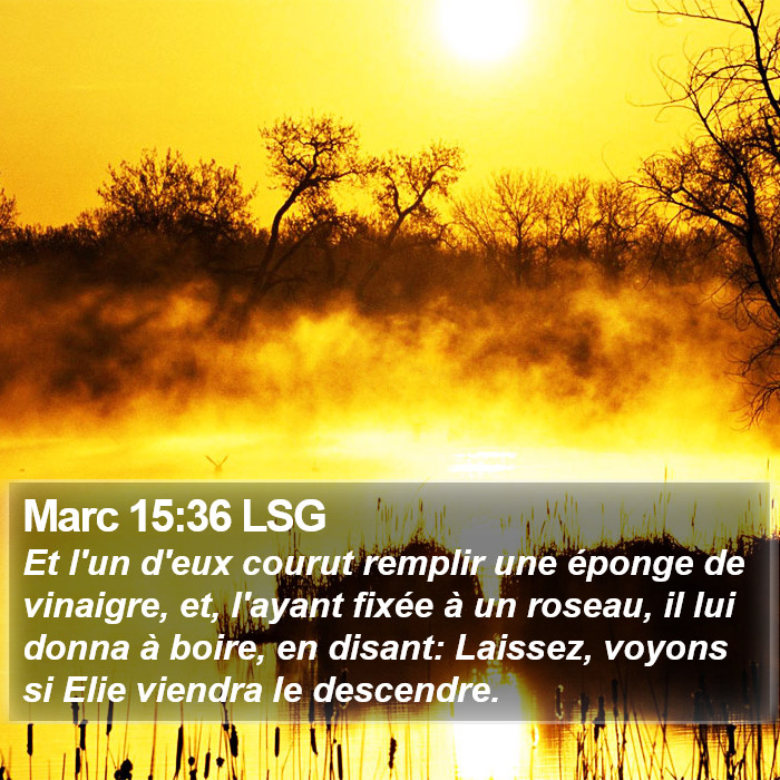 Marc 15:36 LSG Bible Study