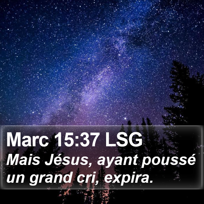 Marc 15:37 LSG Bible Study