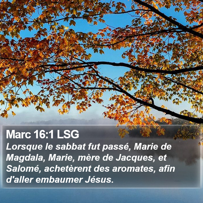 Marc 16:1 LSG Bible Study