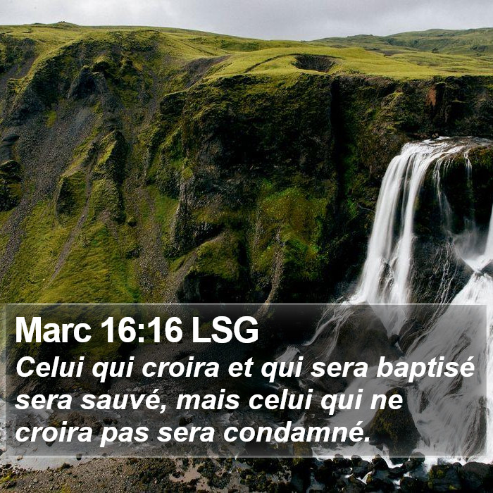 Marc 16:16 LSG Bible Study