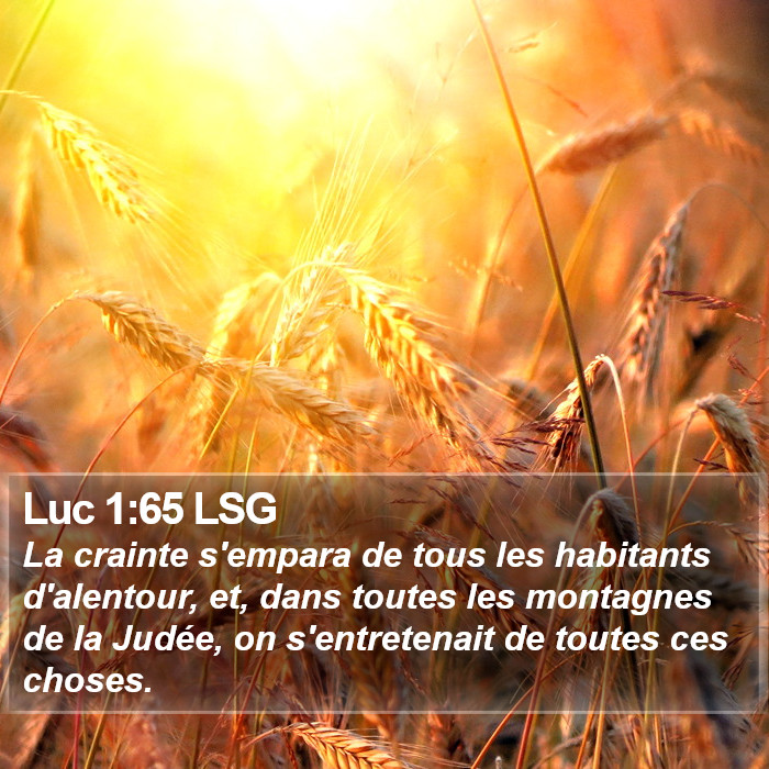 Luc 1:65 LSG Bible Study