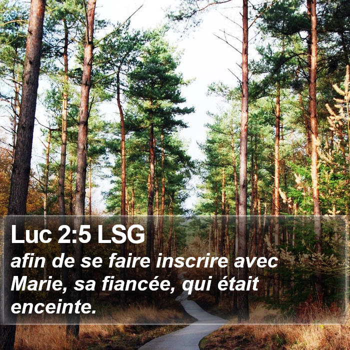 Luc 2:5 LSG Bible Study