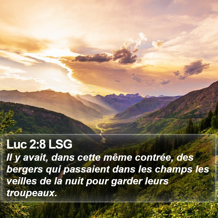 Luc 2:8 LSG Bible Study