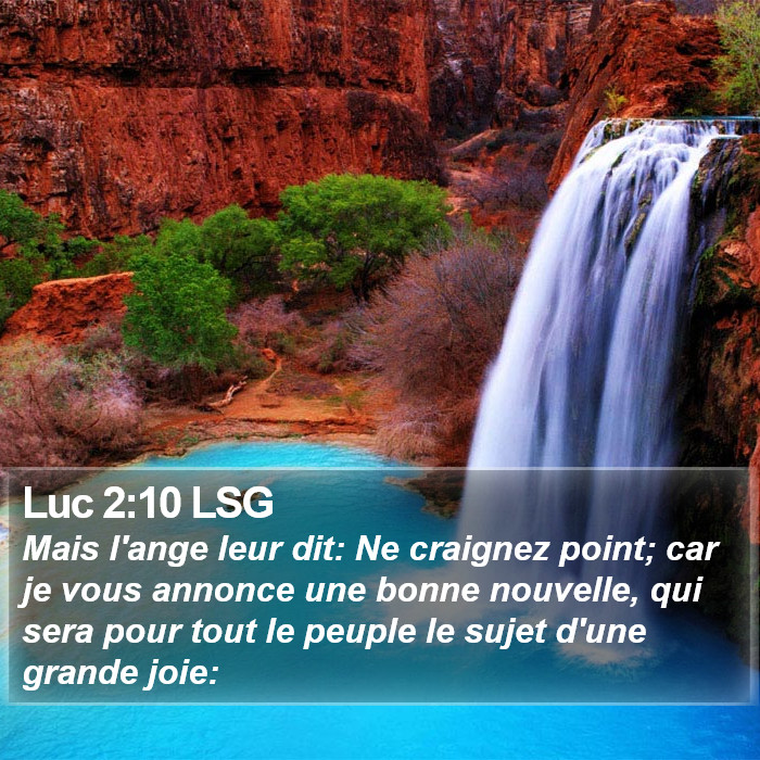 Luc 2:10 LSG Bible Study