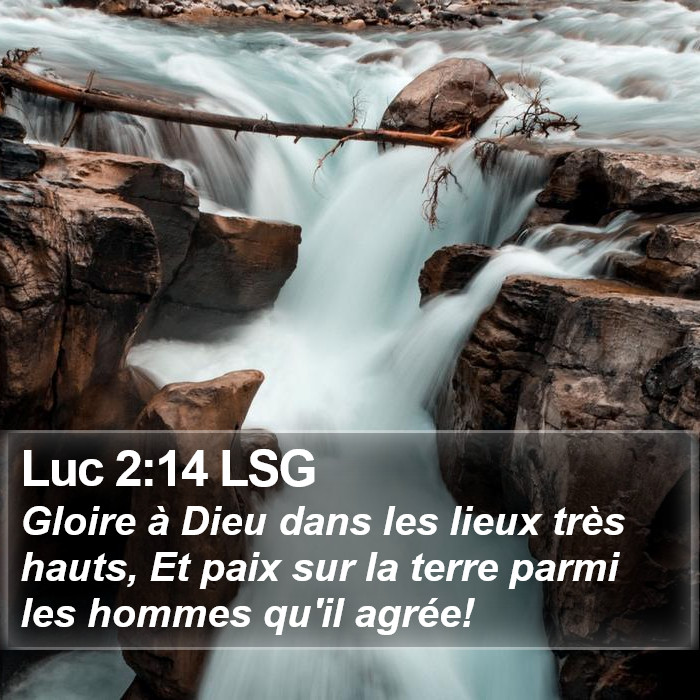 Luc 2:14 LSG Bible Study