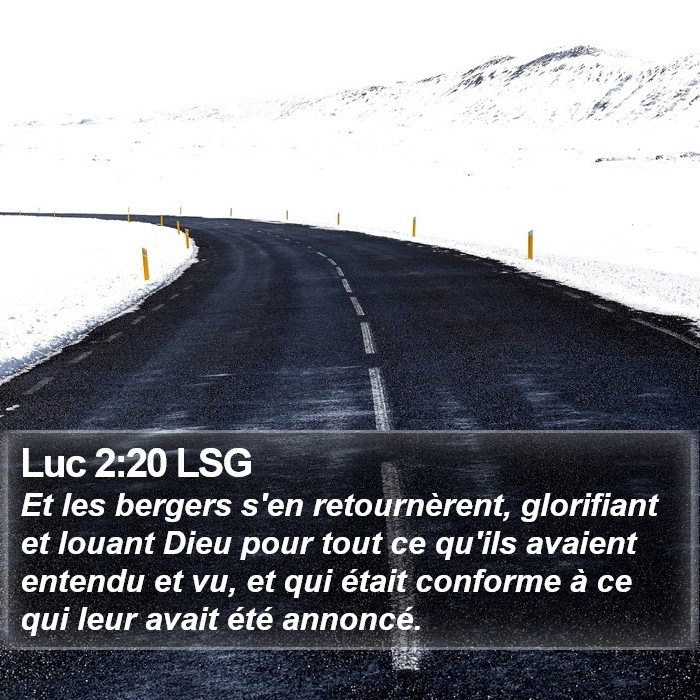 Luc 2:20 LSG Bible Study