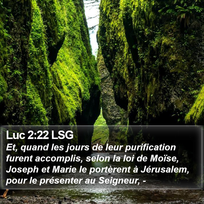 Luc 2:22 LSG Bible Study