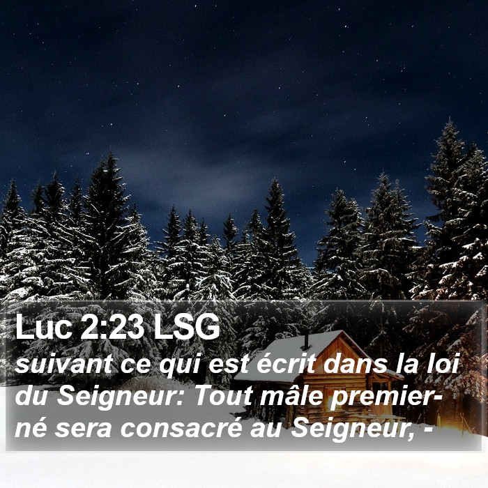 Luc 2:23 LSG Bible Study