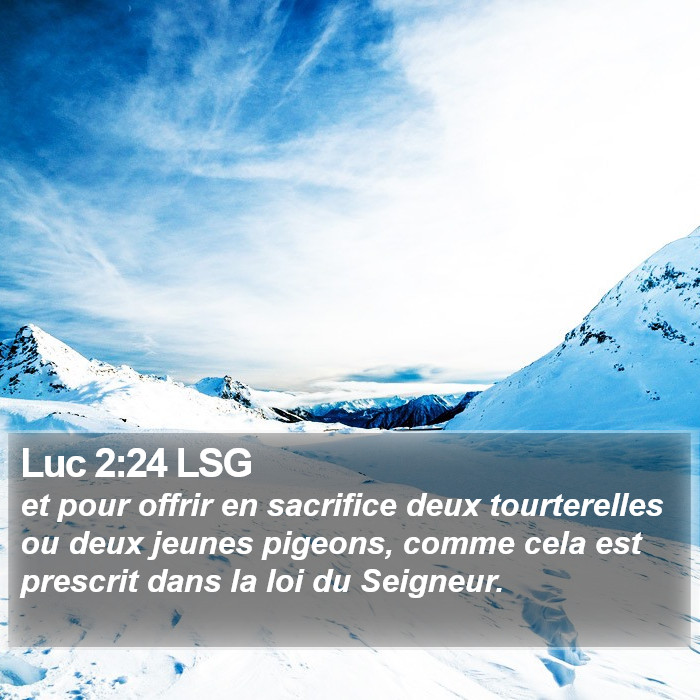 Luc 2:24 LSG Bible Study