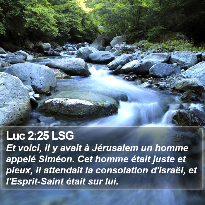 Luc 2:25 LSG Bible Study