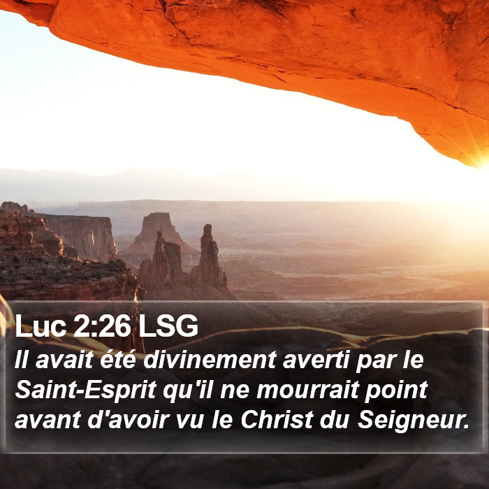 Luc 2:26 LSG Bible Study