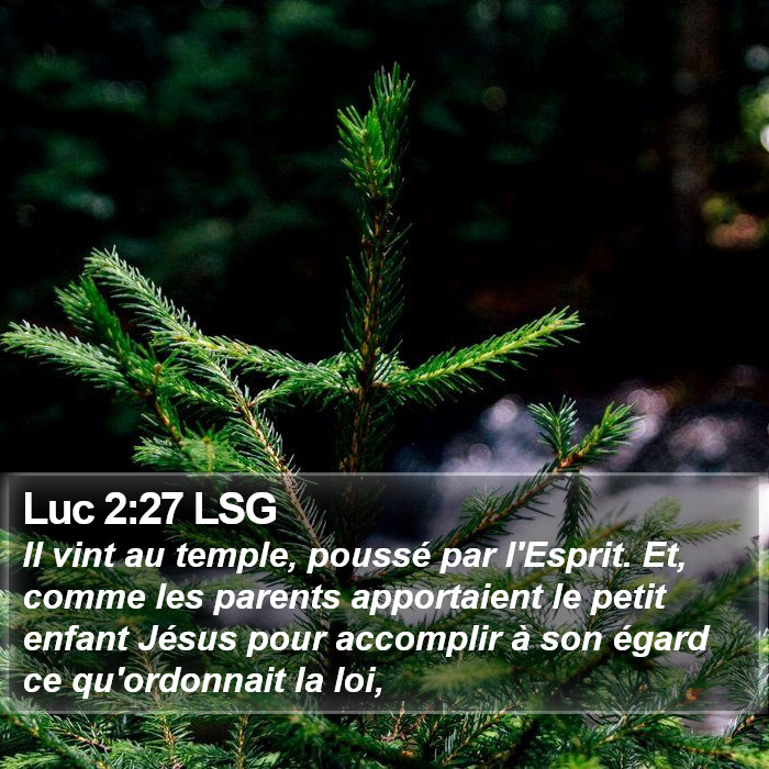 Luc 2:27 LSG Bible Study