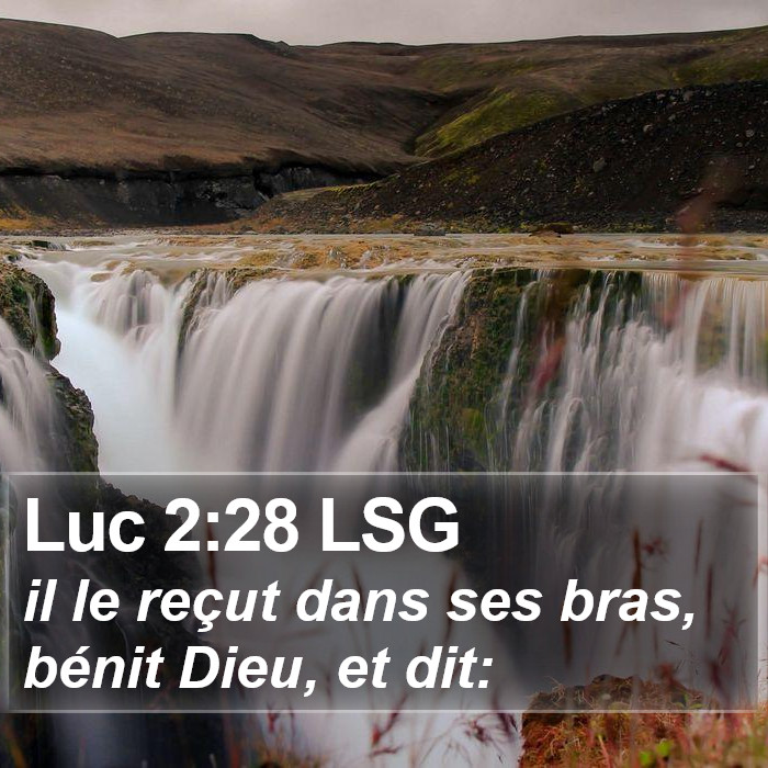 Luc 2:28 LSG Bible Study