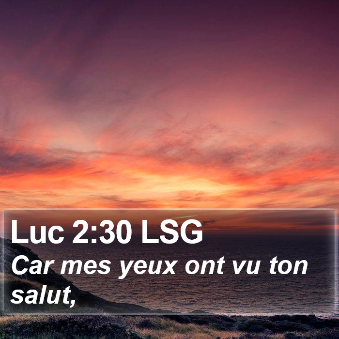 Luc 2:30 LSG Bible Study