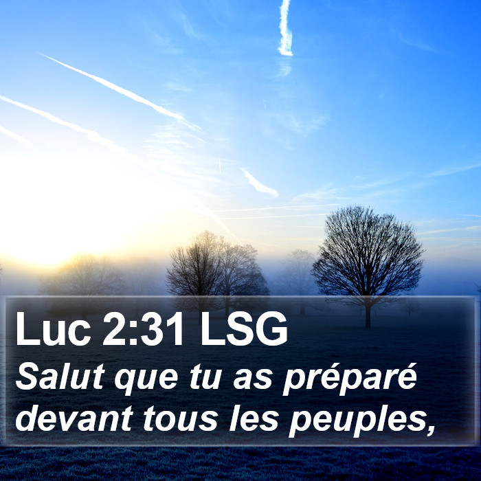 Luc 2:31 LSG Bible Study