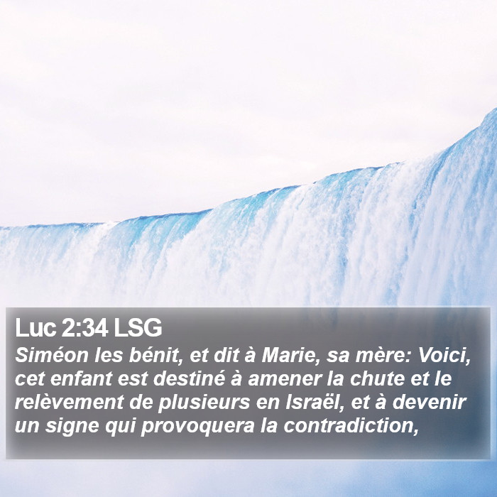 Luc 2:34 LSG Bible Study