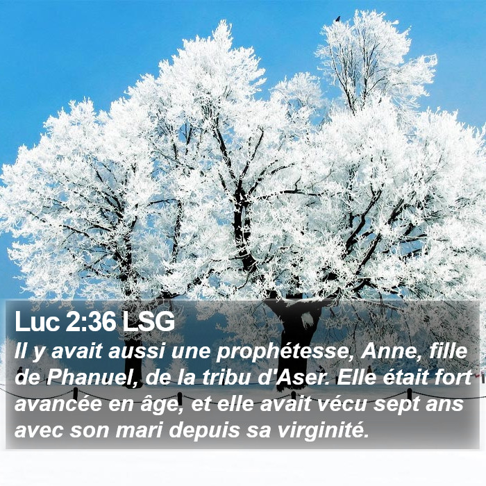 Luc 2:36 LSG Bible Study