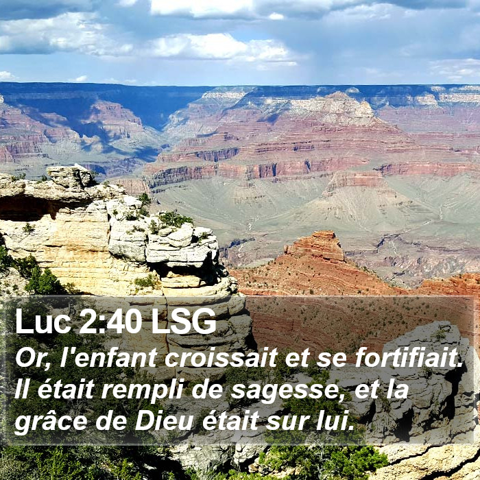 Luc 2:40 LSG Bible Study