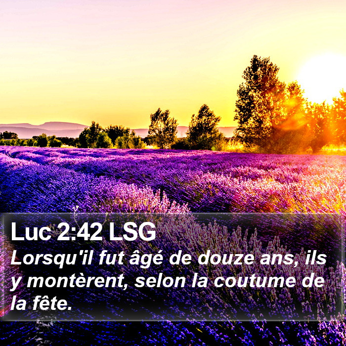 Luc 2:42 LSG Bible Study