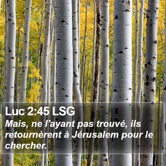 Luc 2:45 LSG Bible Study