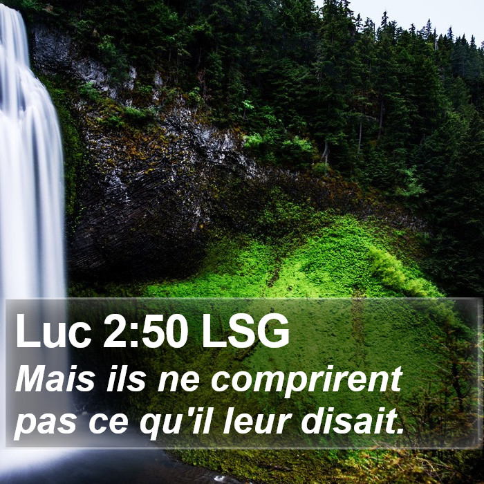 Luc 2:50 LSG Bible Study