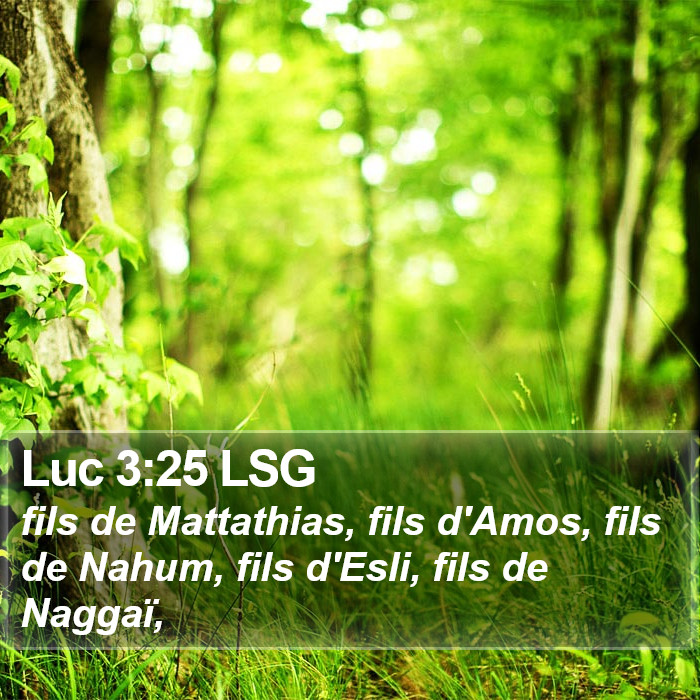 Luc 3:25 LSG Bible Study