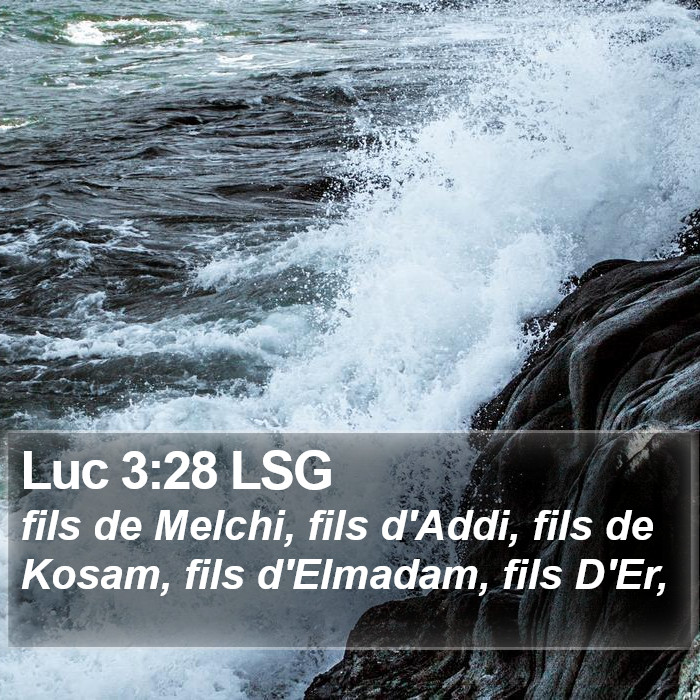 Luc 3:28 LSG Bible Study